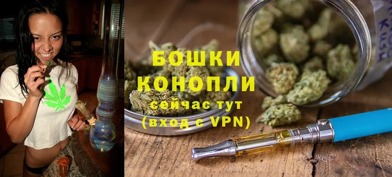 Марихуана SATIVA & INDICA  Коломна 